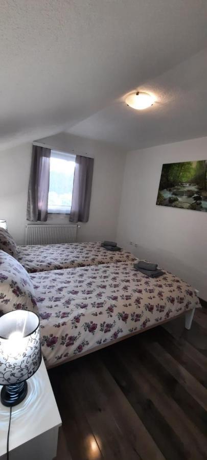 Apartman Karolina Rudanovac Esterno foto